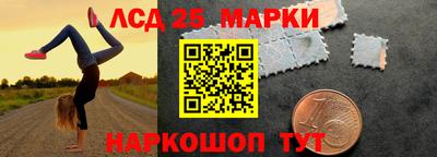 apvp Свободный
