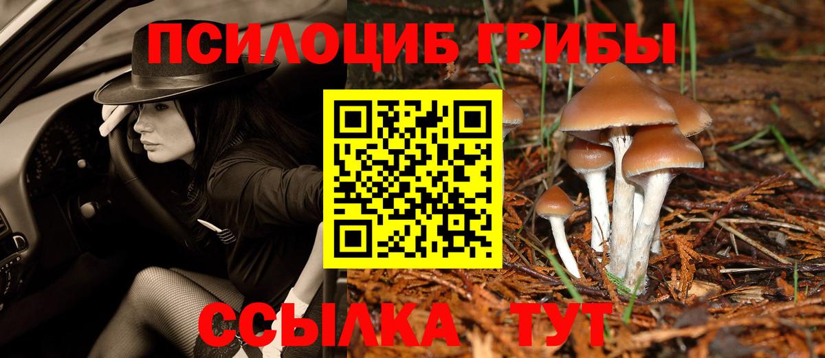 Псилоцибиновые грибы Cubensis  что такое   Ликино-Дулёво  Вход с VPN 