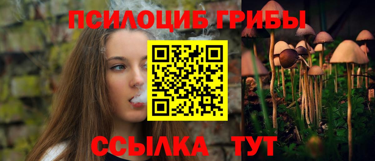 Галлюциногенные грибы Psilocybe Ликино-Дулёво